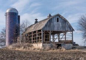 A large old wooden barn that is being taken apart, to salvage the barn siding. Timbers and framing are visible, along with a large brick silo